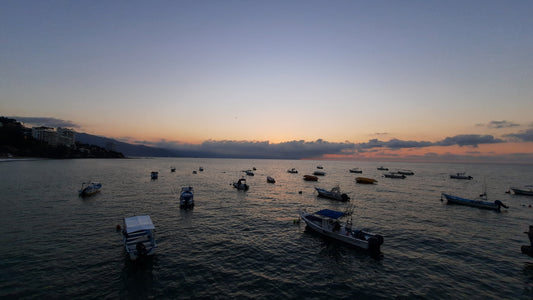 Les Bateaux Du 24 Décembre 2021 Puerto Vallarta