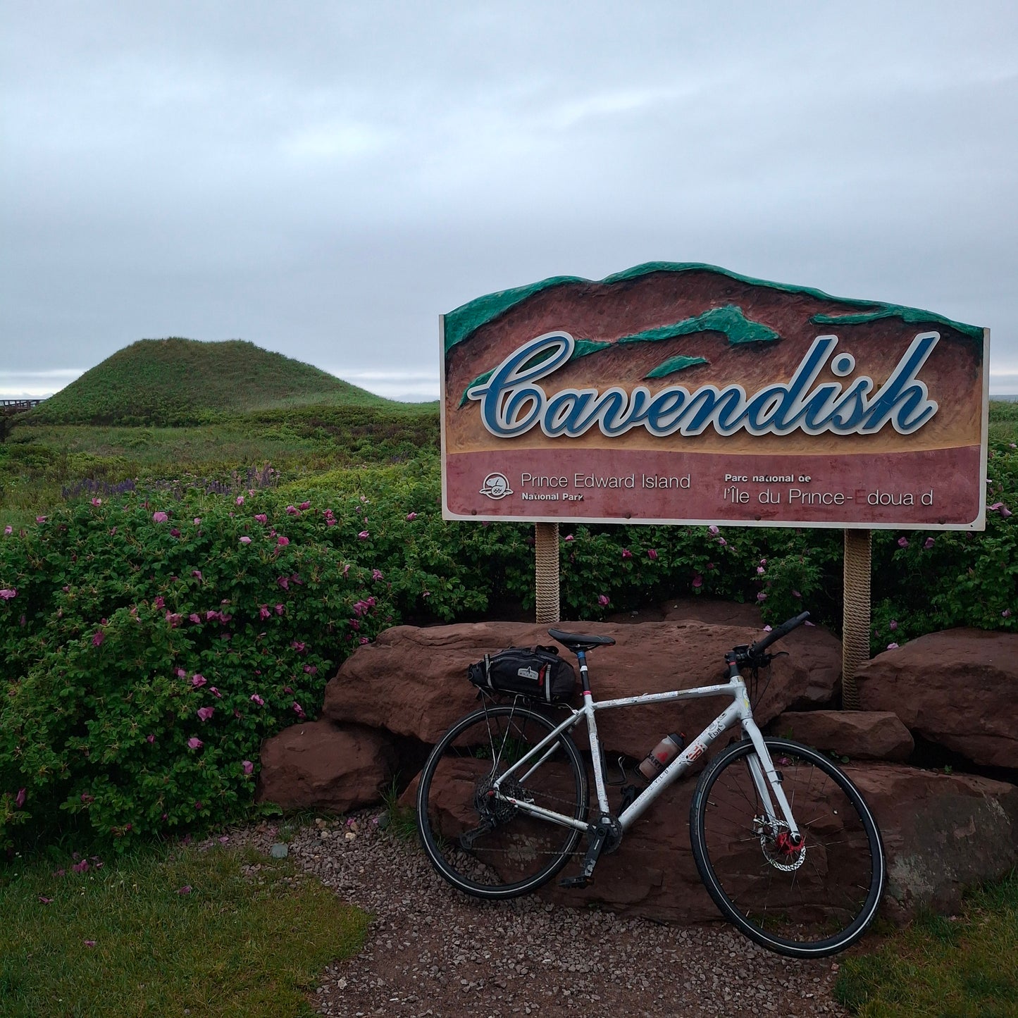Cavendish bicycle