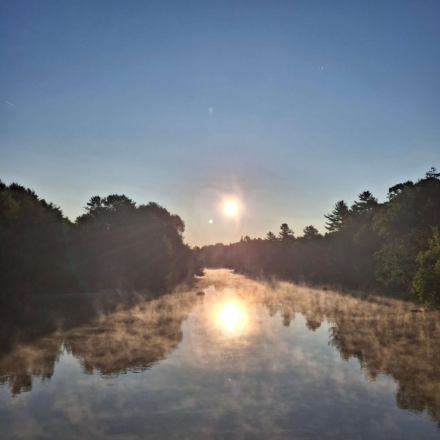2025-07-22 06:12 (View Under 410)