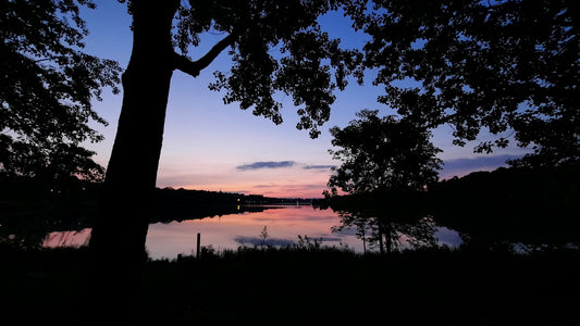 Aube 5 Juin 2021 (Vue Bp1) Lac Des Nations 4H40