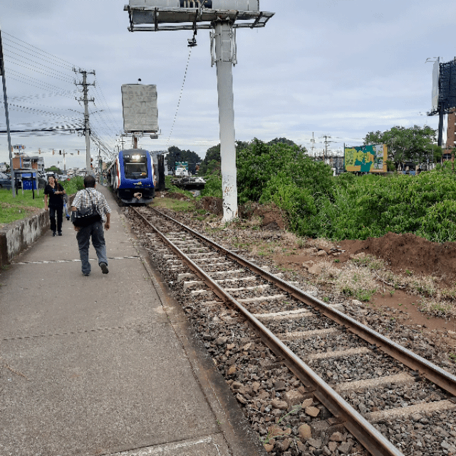 Incofer Train (San Jose)